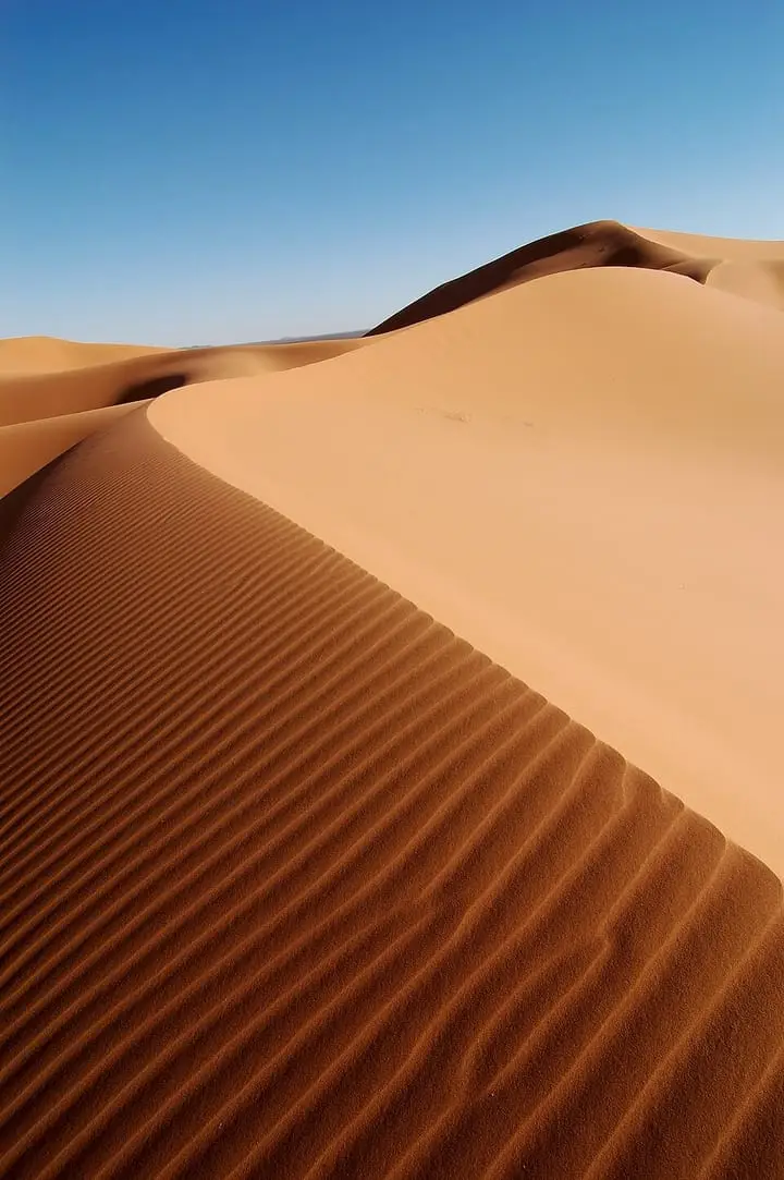 Photographie : dunes de sable, désert vide