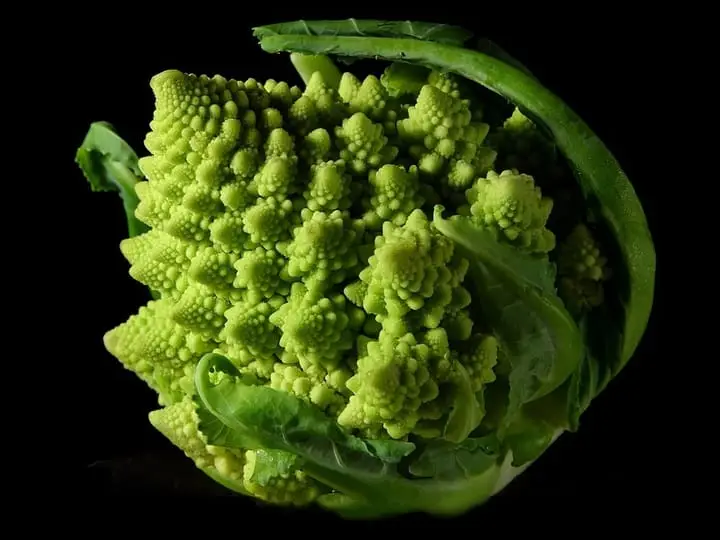 Photographie : chou romanesco en gros plan